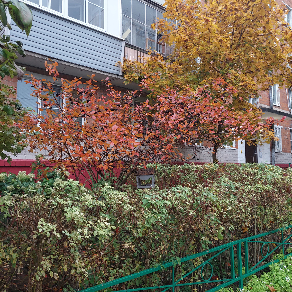 Фото автора.