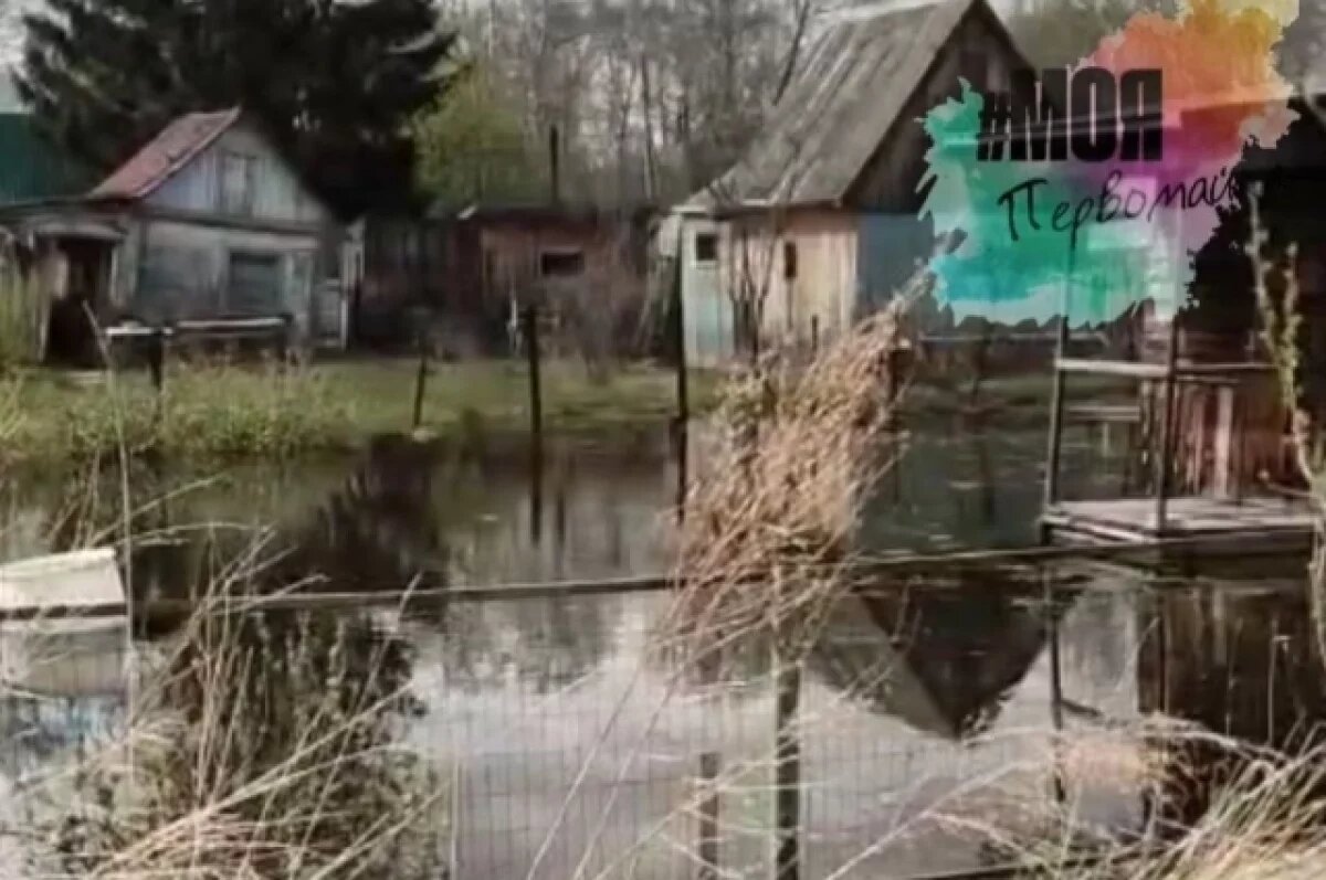    Грунтовыми водами топит дачные сообщества в Новосибирске