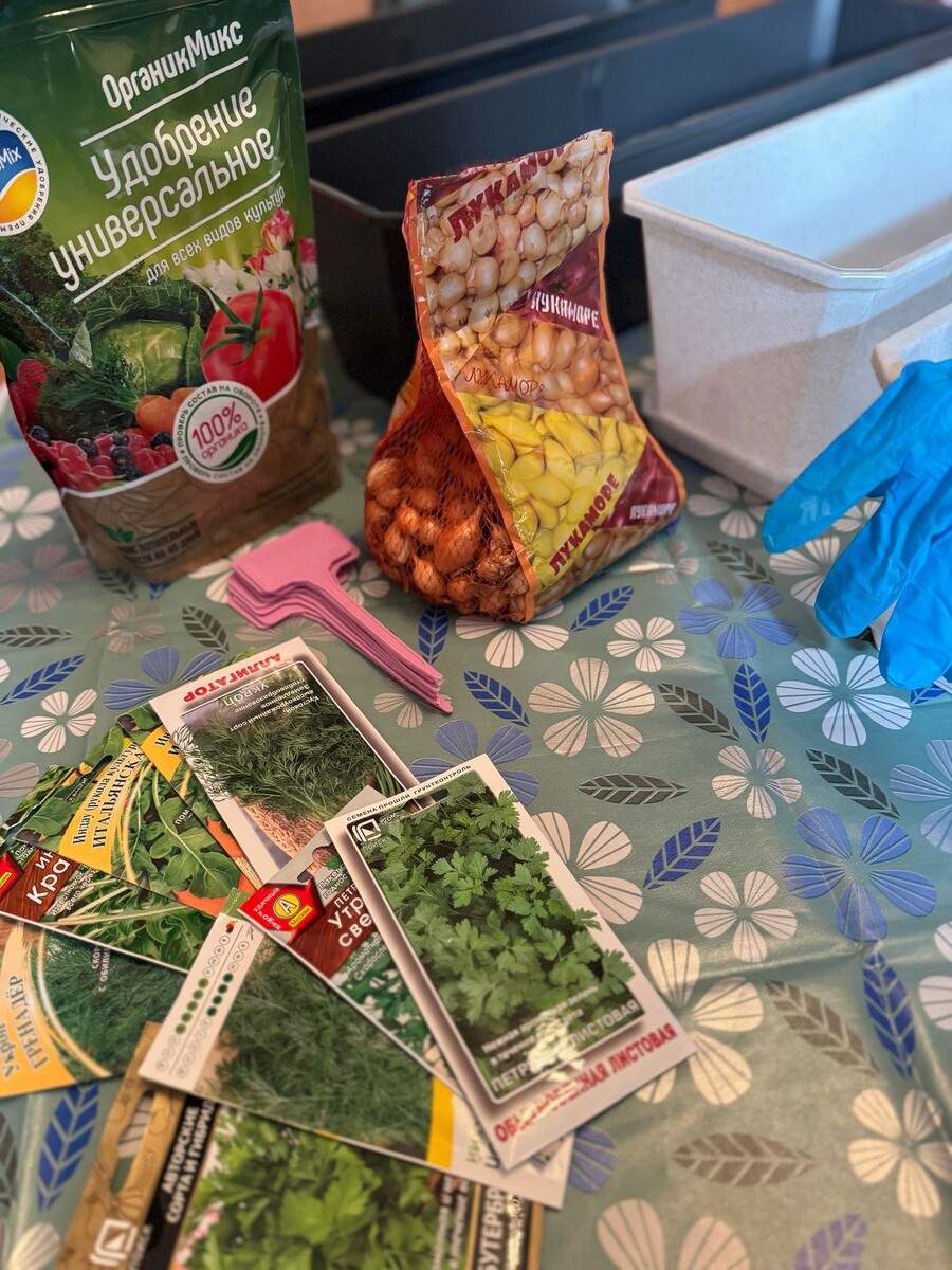 Фото автора.