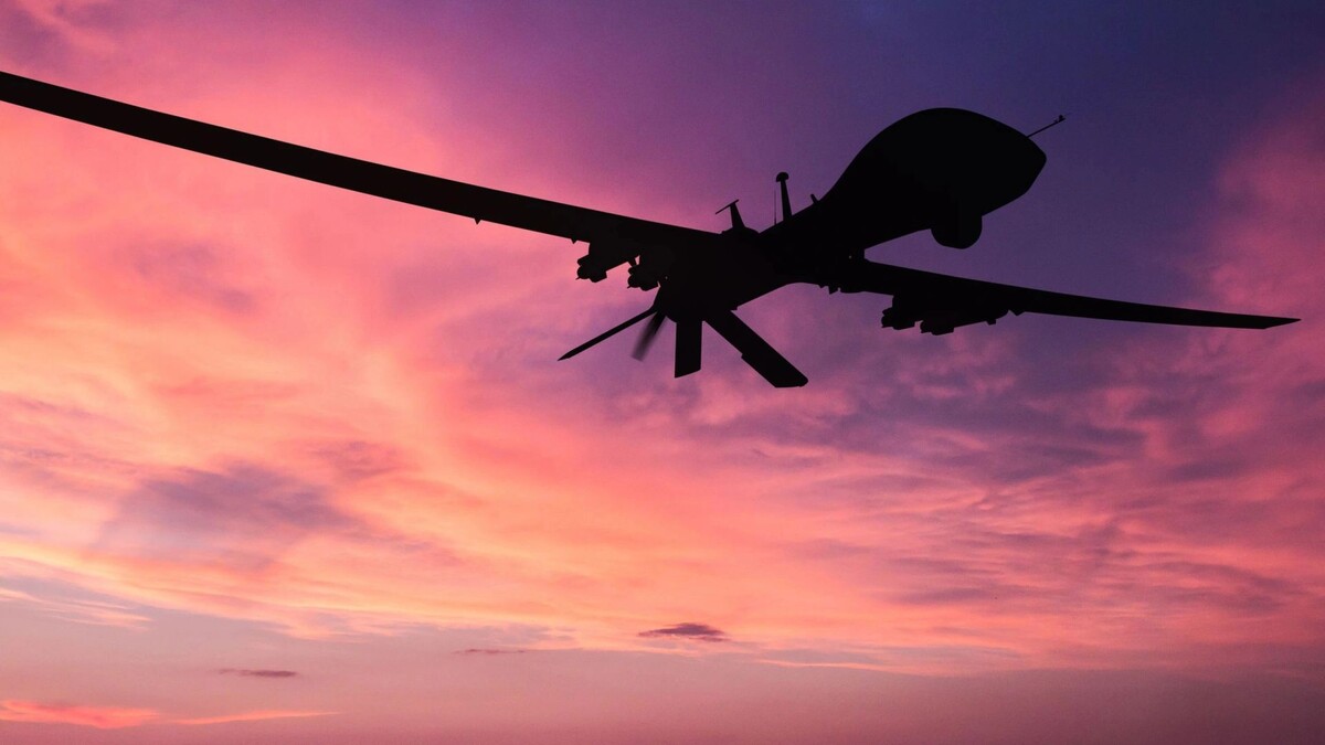    Фото: sibsky2016/Shutterstock/Fotodom