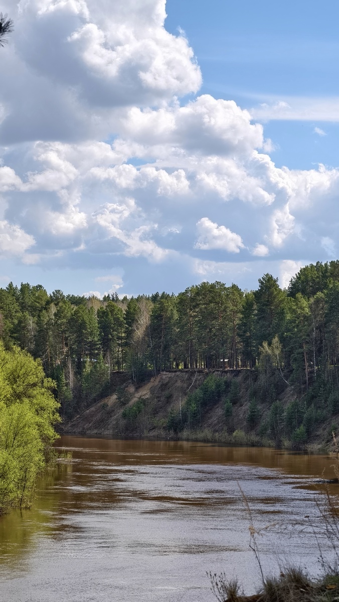 Река Тара в д. Окунево