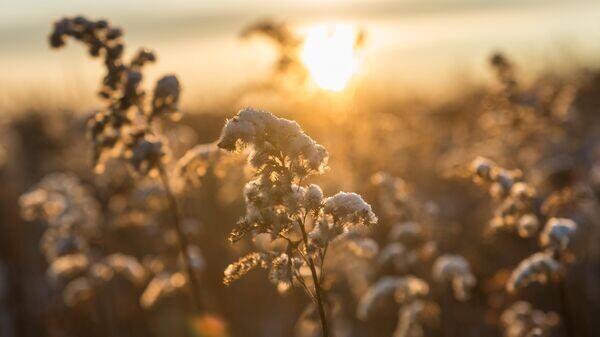    © РИА Новости . Евгения Новоженина