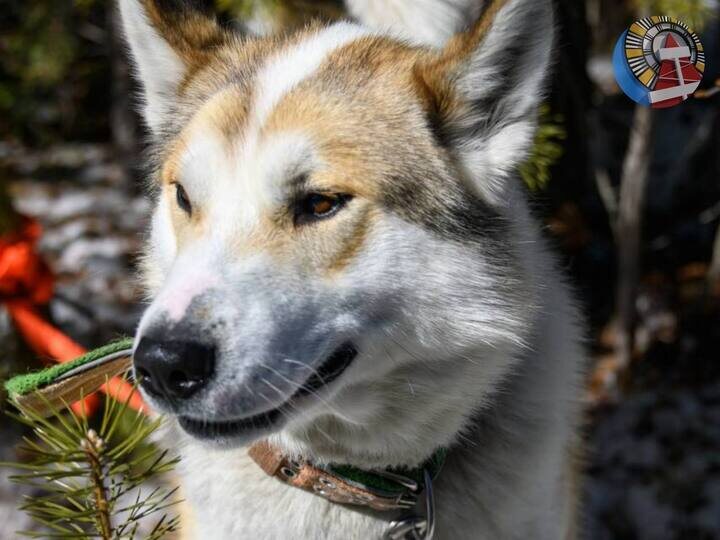     Фото: администрация Ноябрьска
