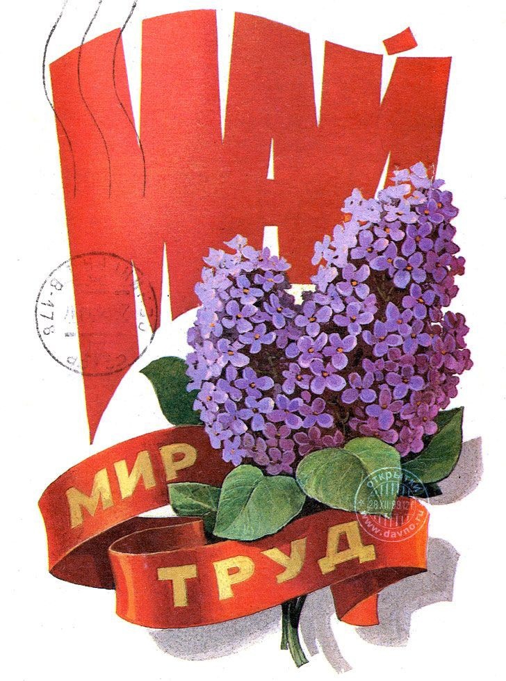 Фото из интернета 