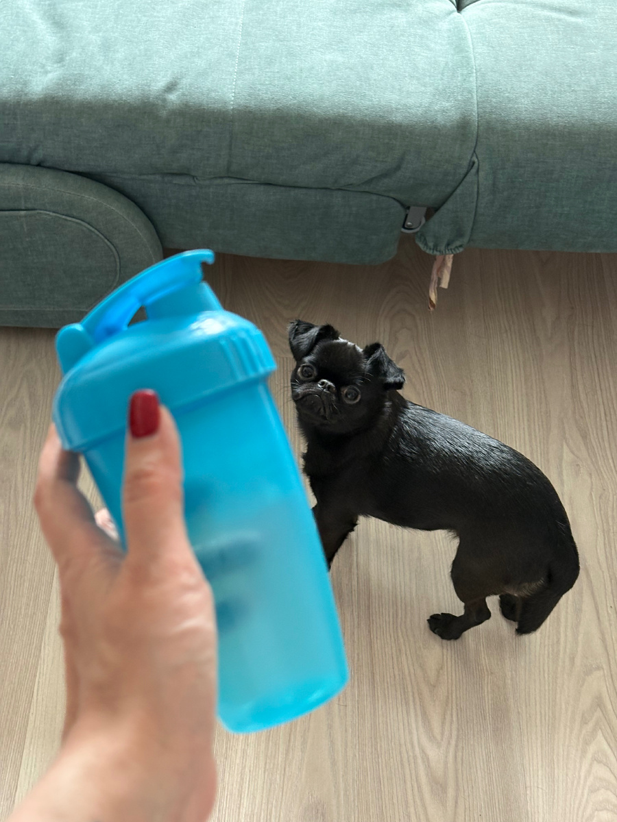 У меня вот такой стакан с крышкой