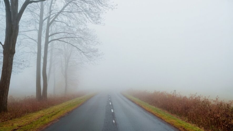    Фото: создано ИИ