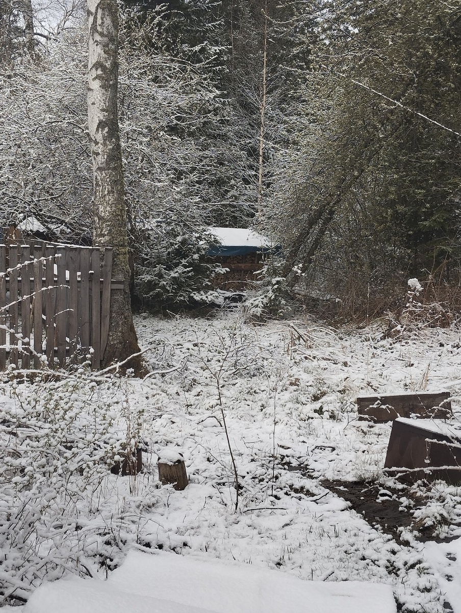    Фото: Елена Ахремюк / vk.com