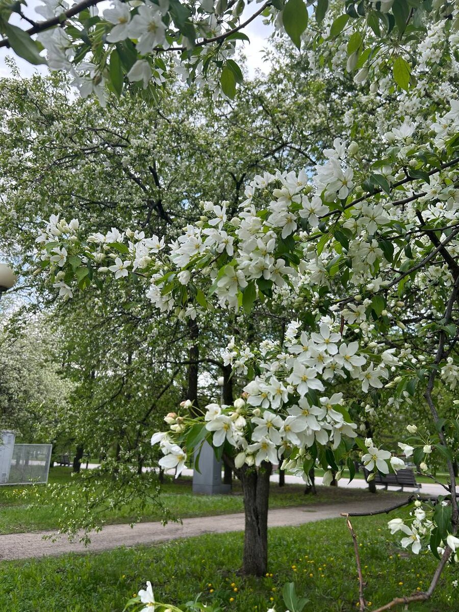    архив samaraonline24