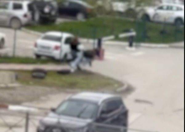    Фото: скриншот видео НГС