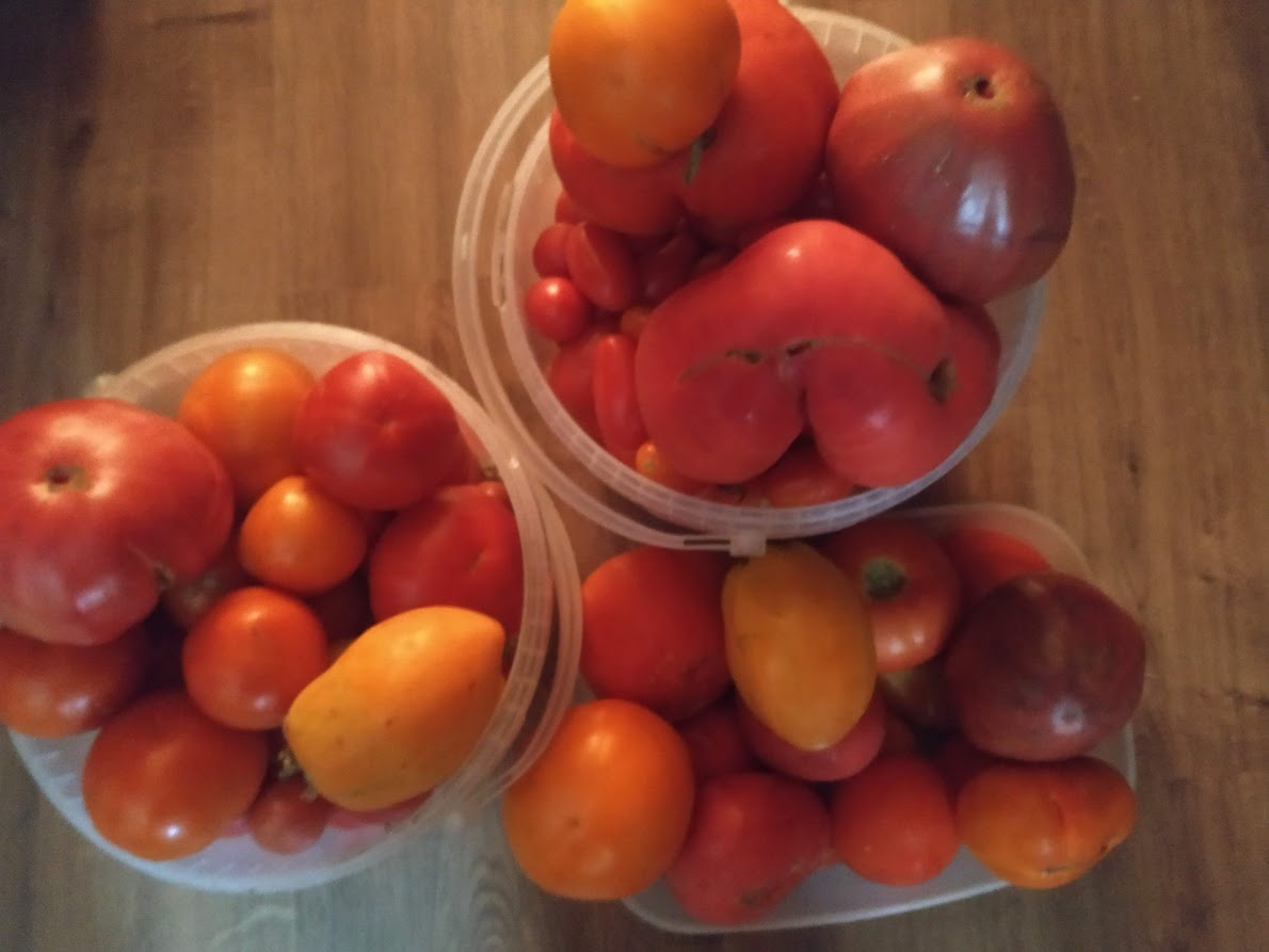 Фото Натальи Мироновой