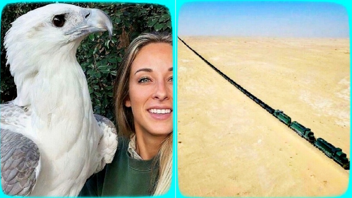 15 фото очень больших вещей, которые точно напугают людей с мегалофобией