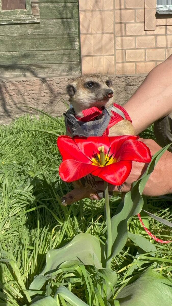 Ну разве он не милый😍