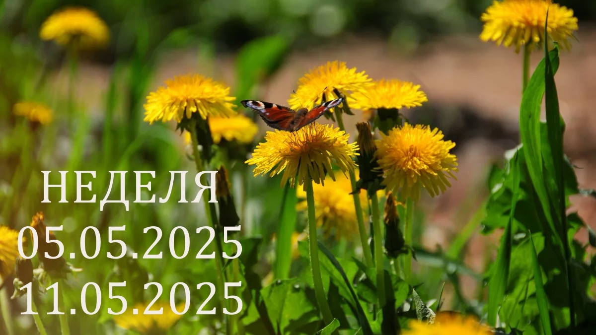 Май. Фото rasfokus.ru