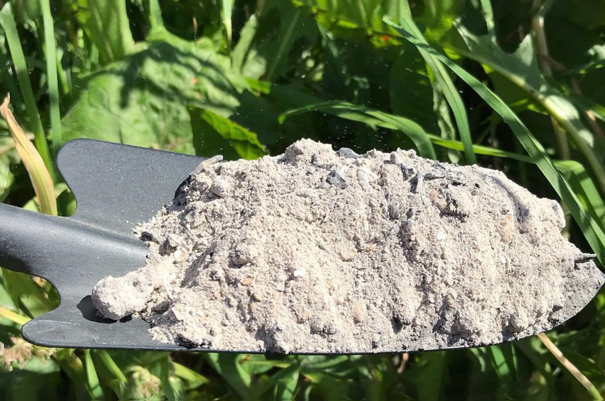 фото из интернета. В таких объёмах вносить золу вредно.