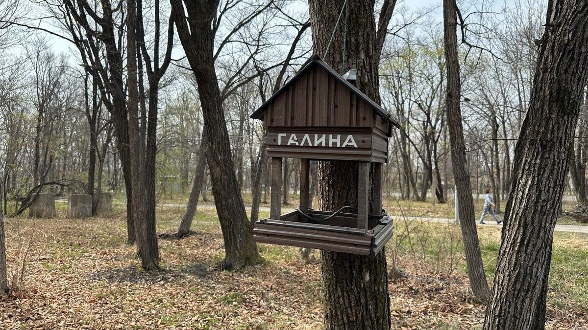     Источник: vostokmedia.com