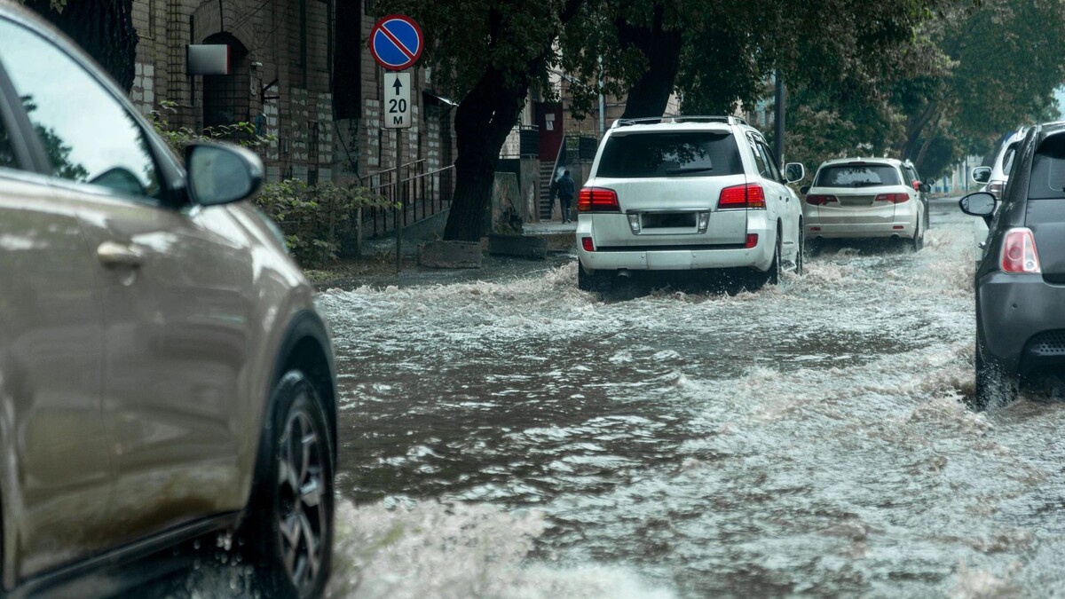    Фото: A_Lesik/Shutterstock/Fotodom