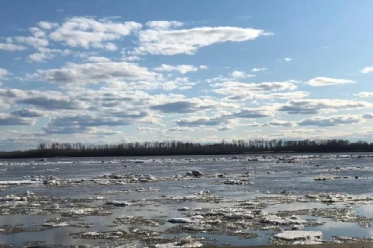    У Нижневартовска уровень воды в Оби дошел до 866 сантиметров