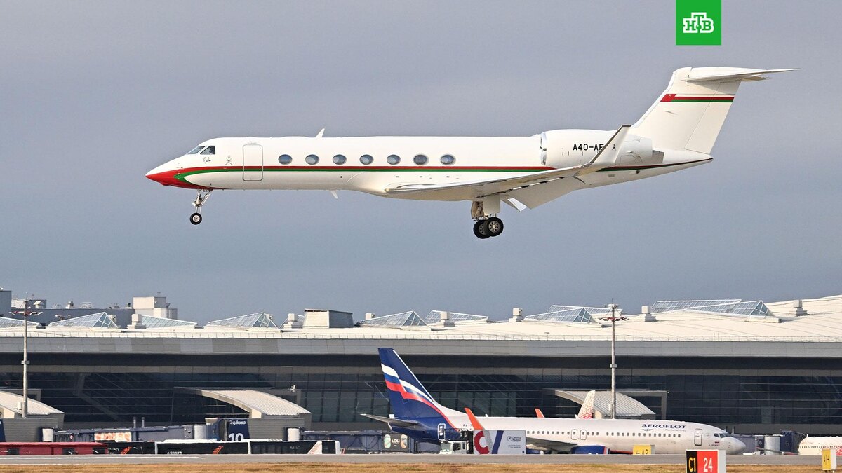    Фото: РИА Новости © 2025, Алексей Майшев