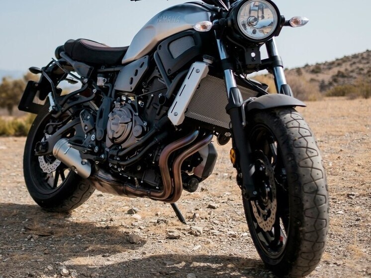     Фото: Francisco Requena/unsplash.com