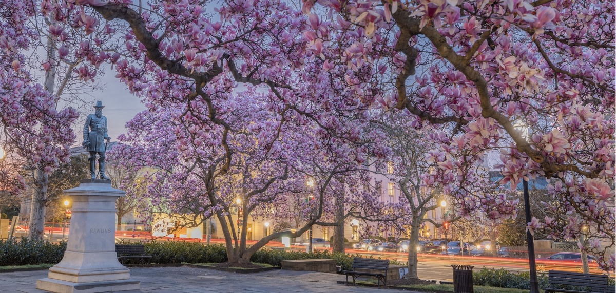 Роулинс Парк