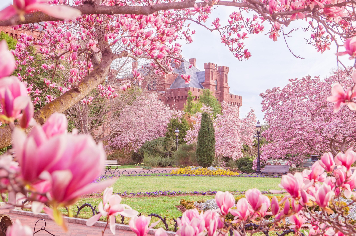 сад Энид А. Хаупт