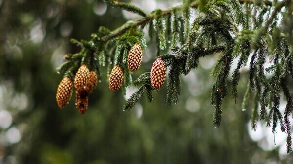    © Photo : Am.lrv.lt