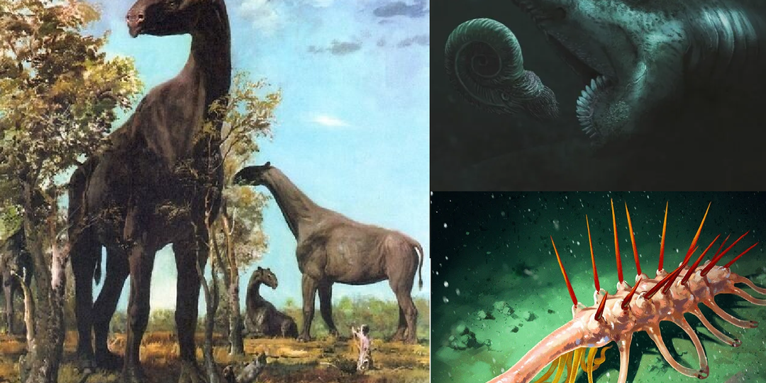 Необычные вымершие животные