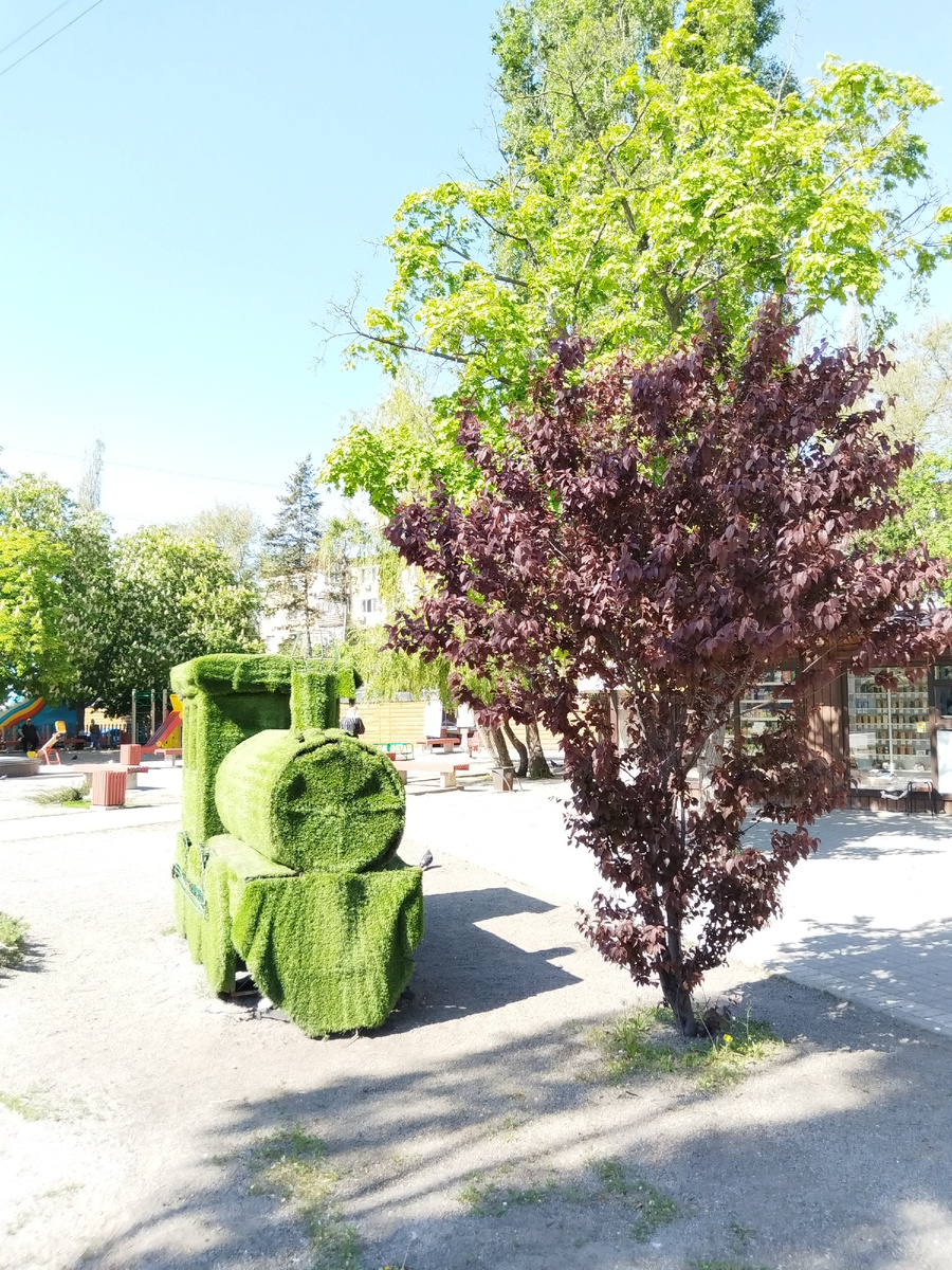 Обычно озеленение на наших задворках выглядит примерно так... 