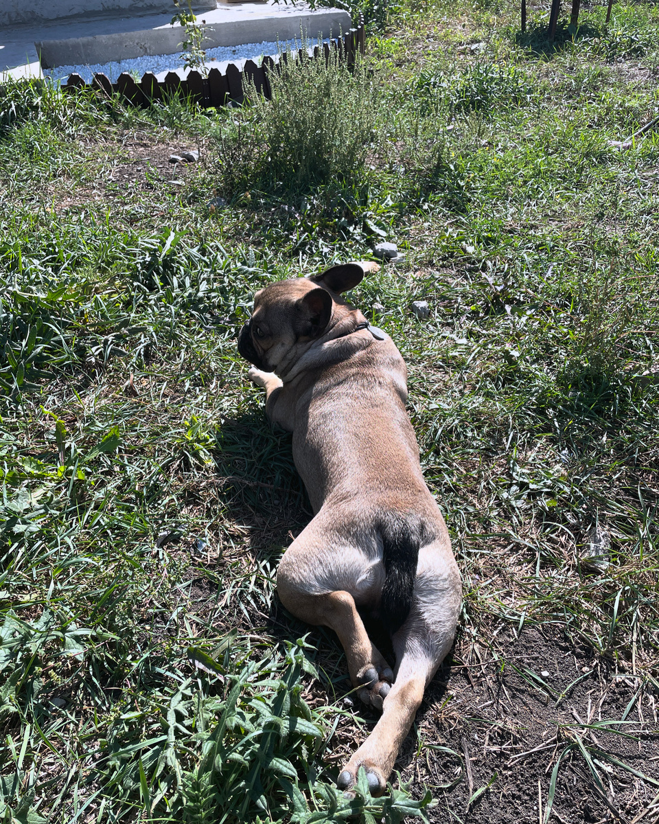 Фото автора: Романыч