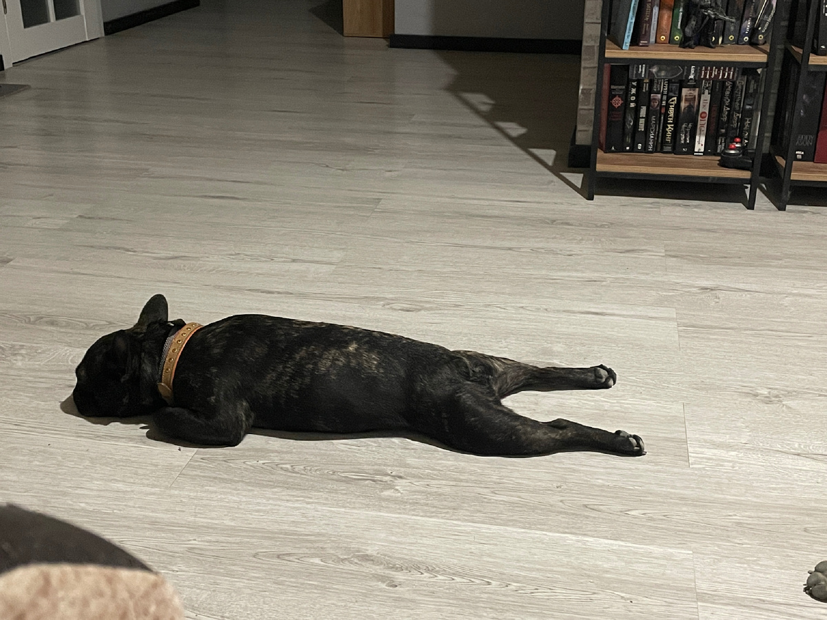 Фото автора: Бублик 