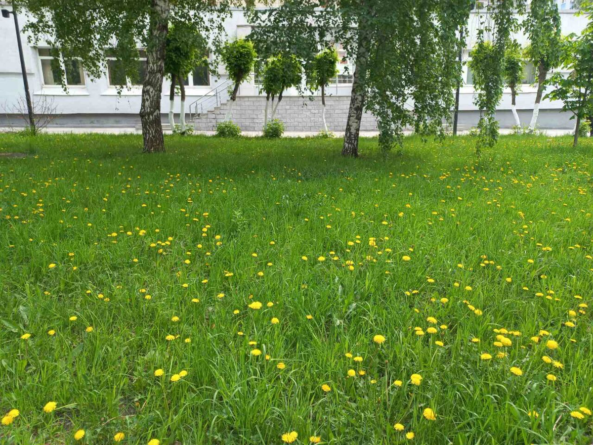 Фото автора.