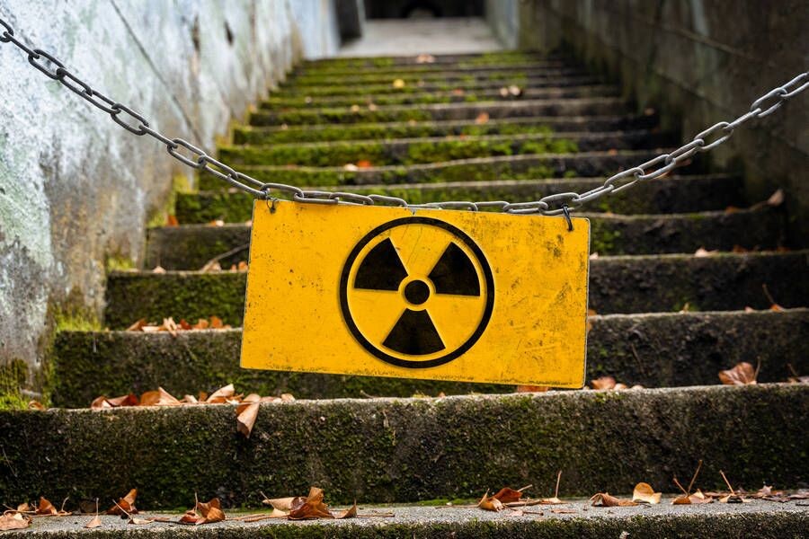     / Источник: © IMAGO/Bihlmayerfotografie/ТАСС