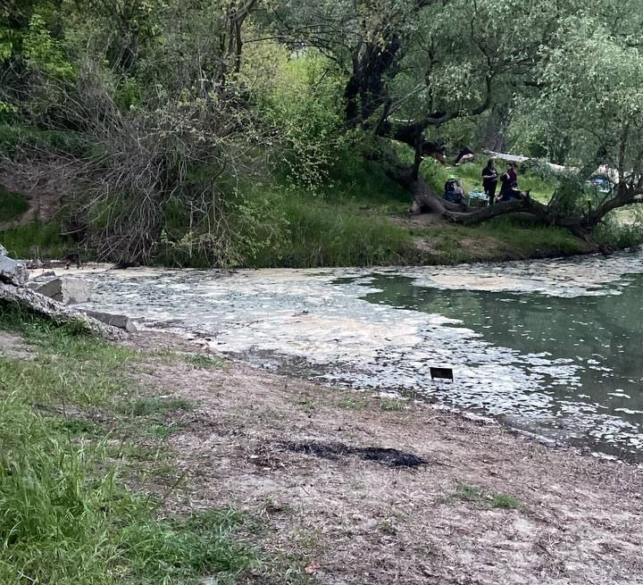    Фото: МЧС России