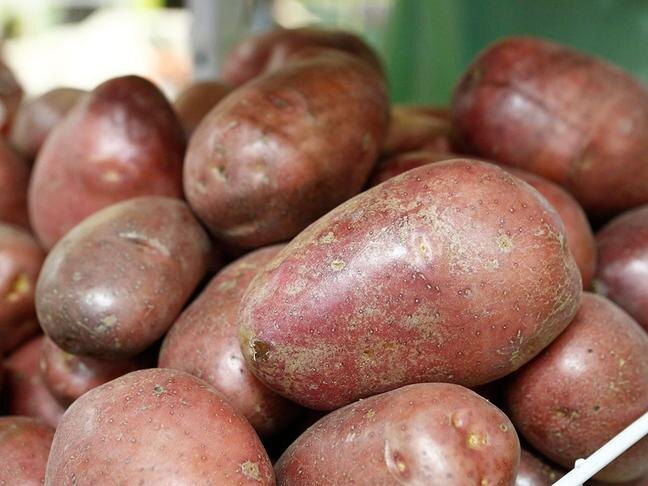 Фото: Вадим Заблоцкий (архив)