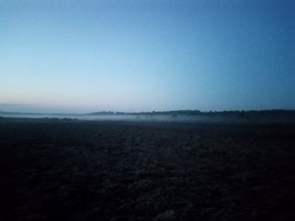 Свежий воздух, и пение птиц, что еще нужно...