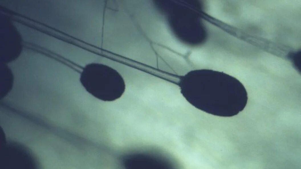    Custom Medical Stock Photo/Globallookpress