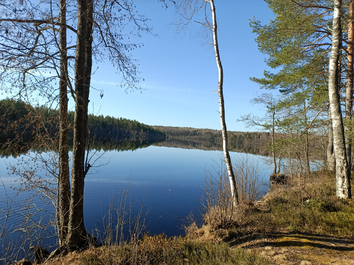 Вепский лес. Озеро Малое Капшозеро