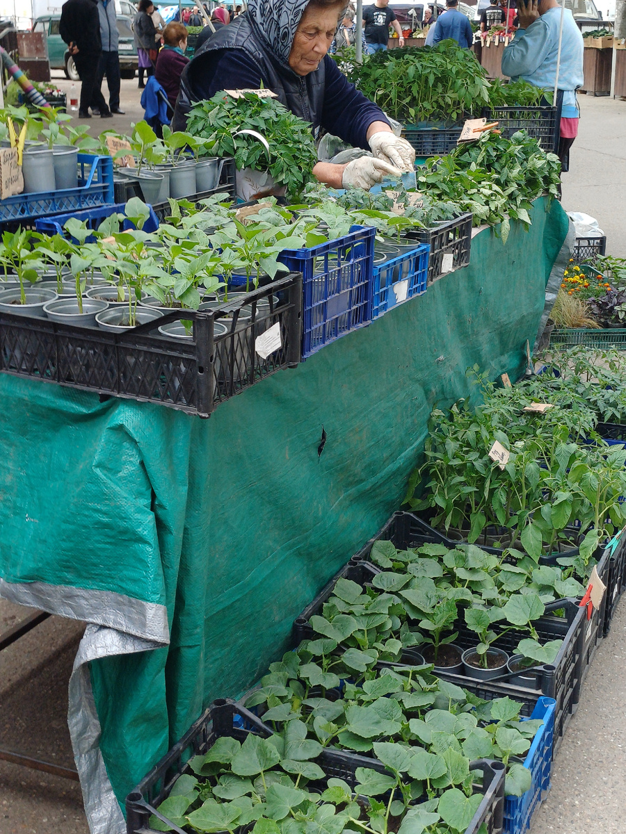 Фото автора. Рынок Краснодар Тюляева