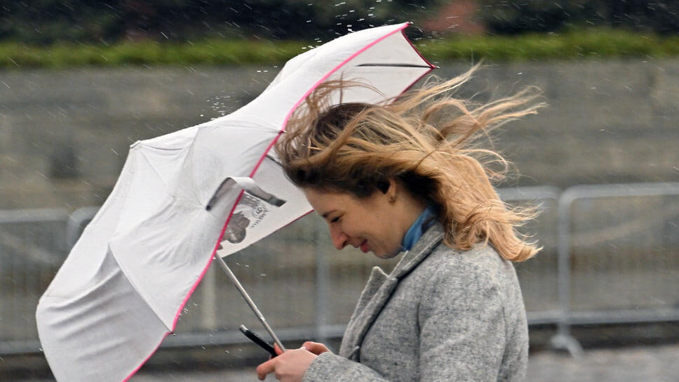 Фото: Анатолий Жданов / Коммерсантъ