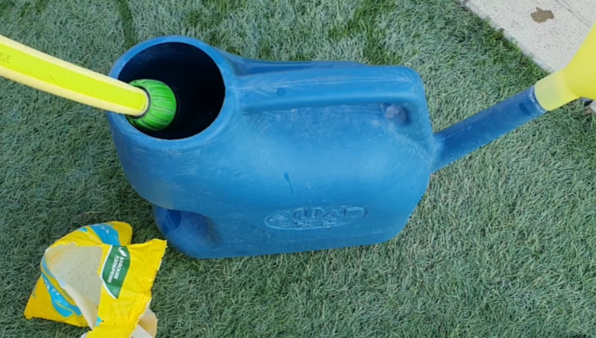 Фото из личного архива