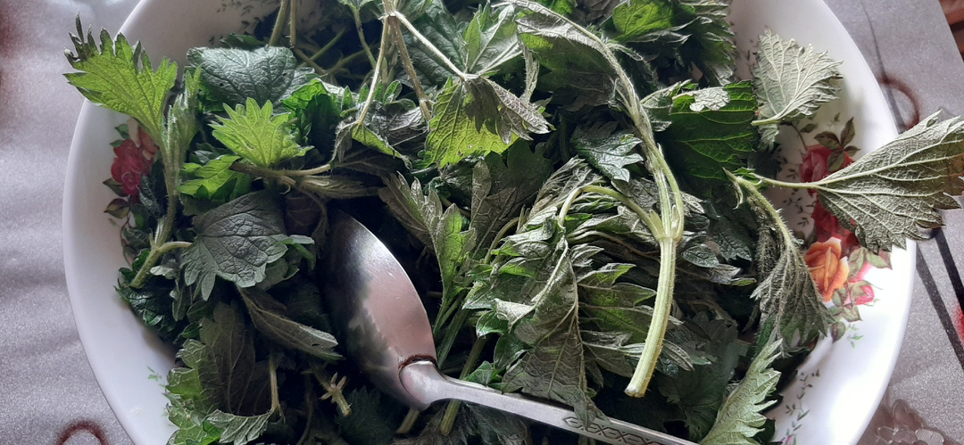 Щи из крапивы: весенний деликатес русской кухни