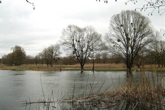    Власти Ишима сообщили о превышении опасной отметки уровня воды в реке на 72 см