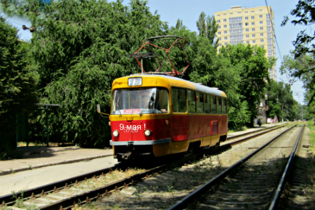 (Фото автора.)