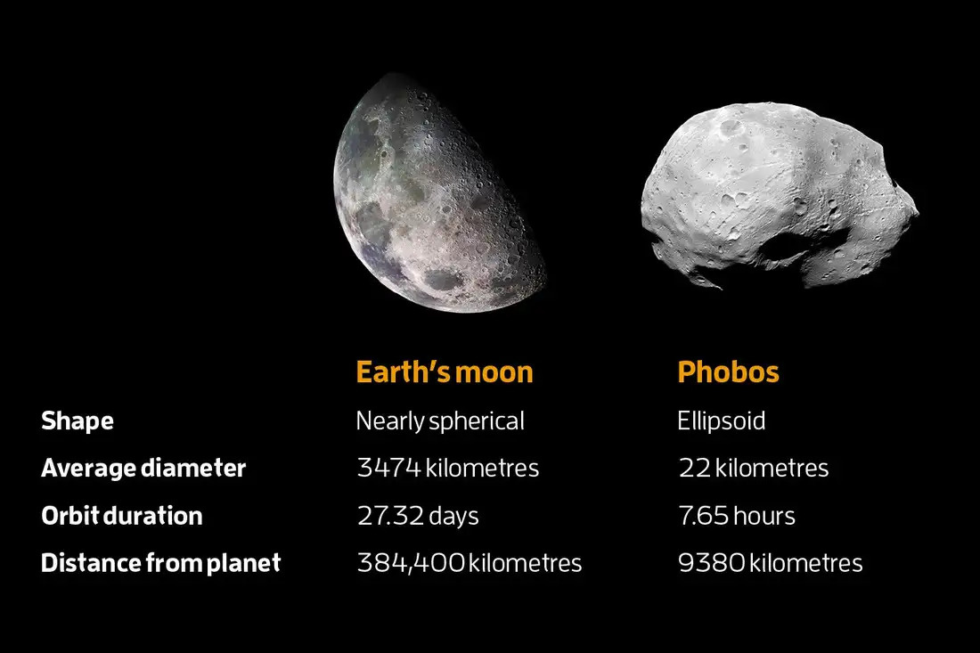 Сравнительные физические характеристики Луны и Фобоса / © NASA/JPL/USGS; Esa/DLR/FU Berlin, G. Neukum/Science Photo Library