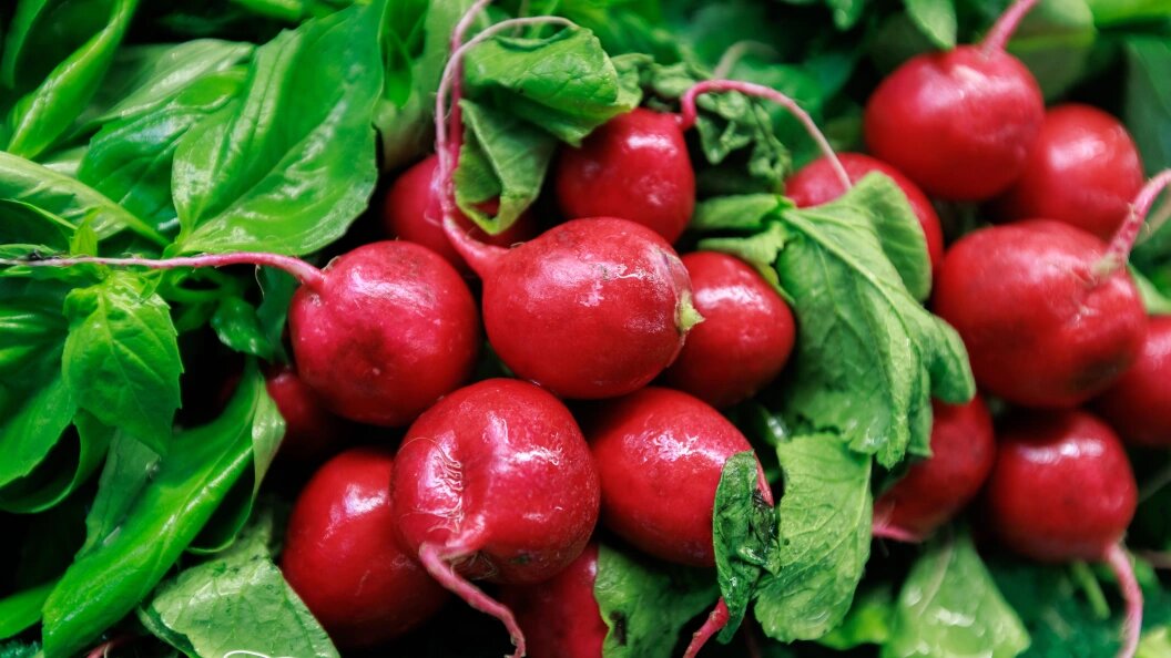    Фото: Sergey Elagin/Globallookpress