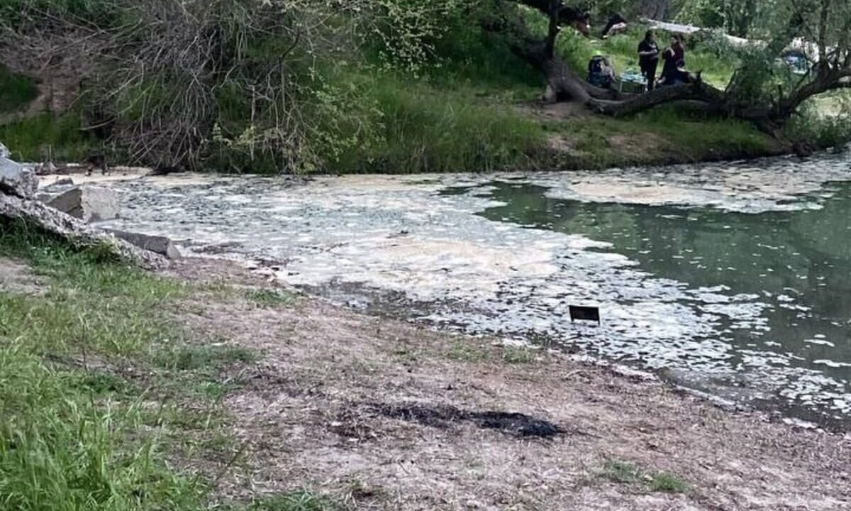    Фото t.me/mchs_official