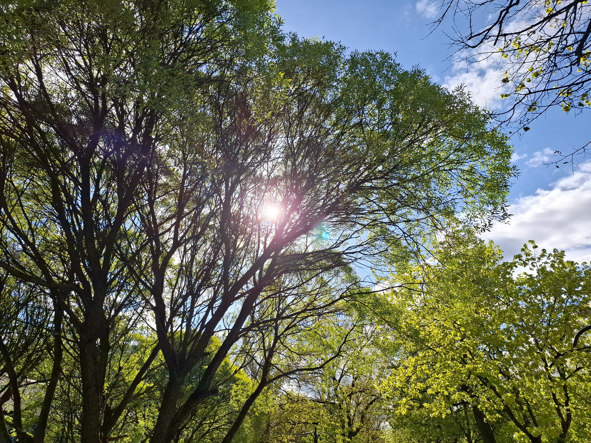 А это за два дня до снега...