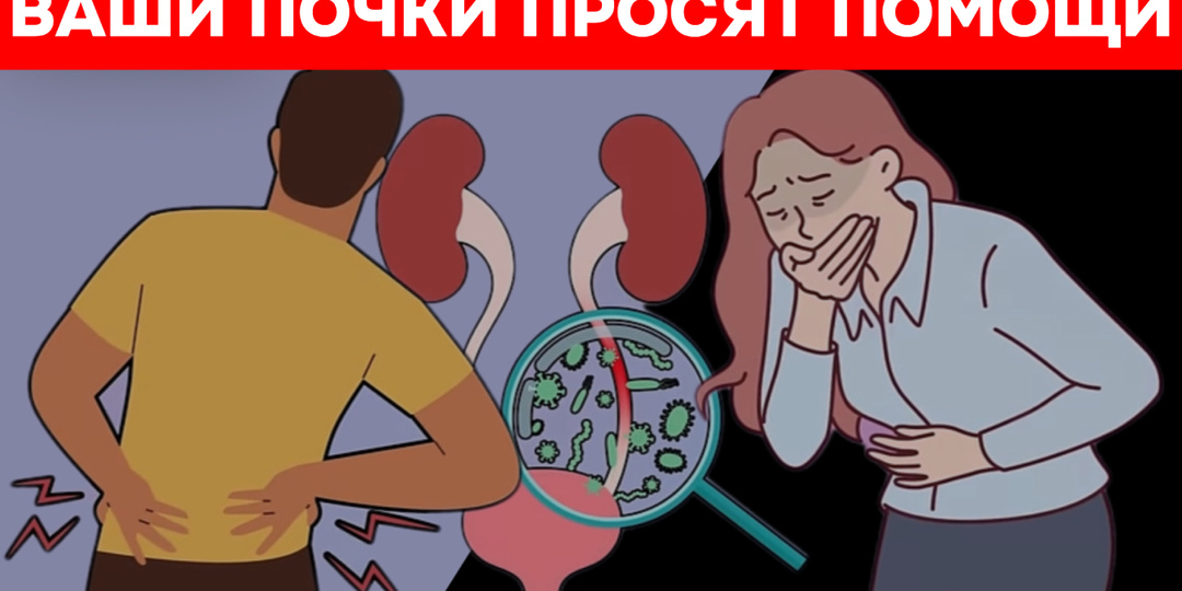 После 45 ваши почки просят им помочь: 10 сигналов, которые нельзя игнорировать