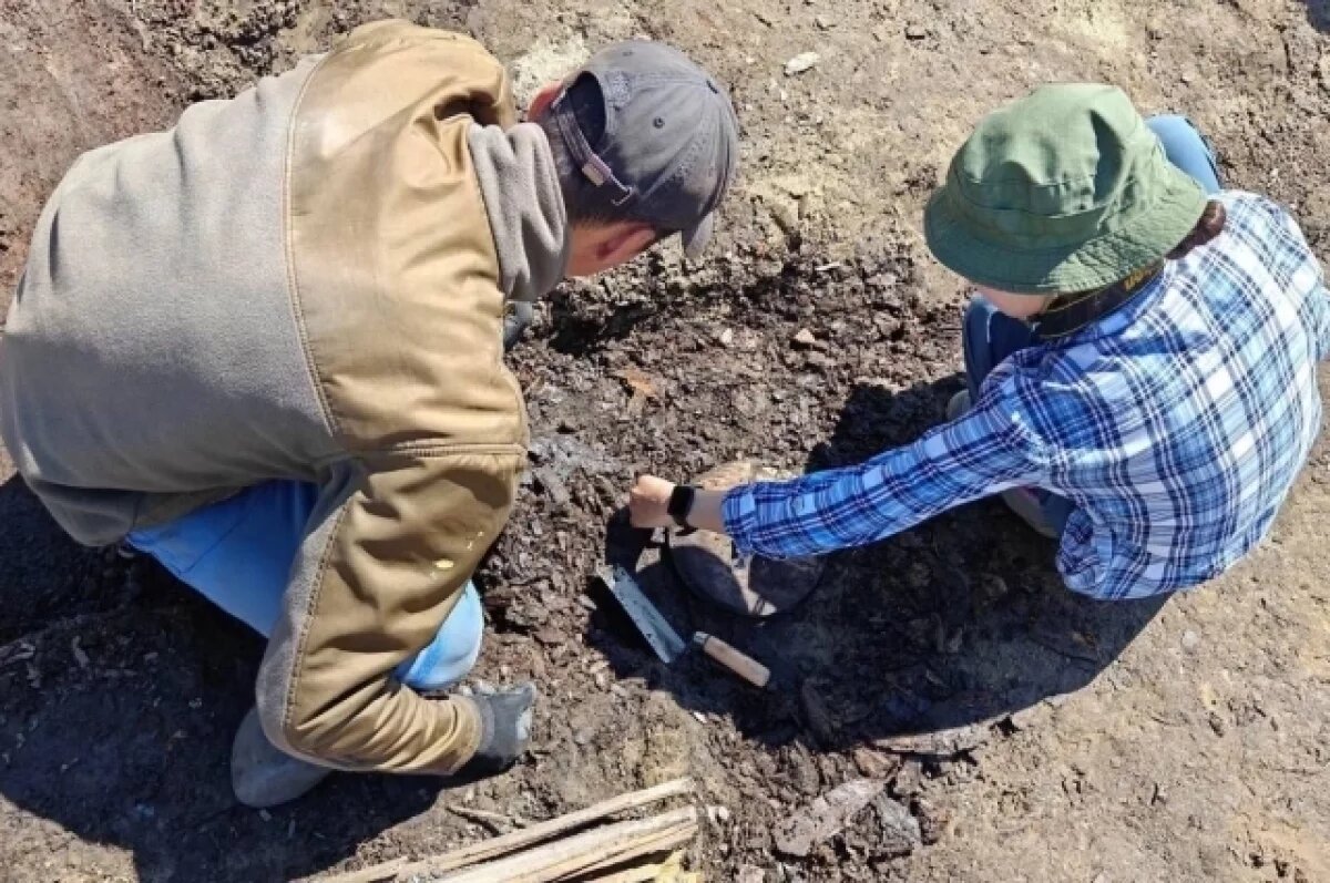    Археологи Югры нашли более 170 артефактов на раскопках Обдорской крепости