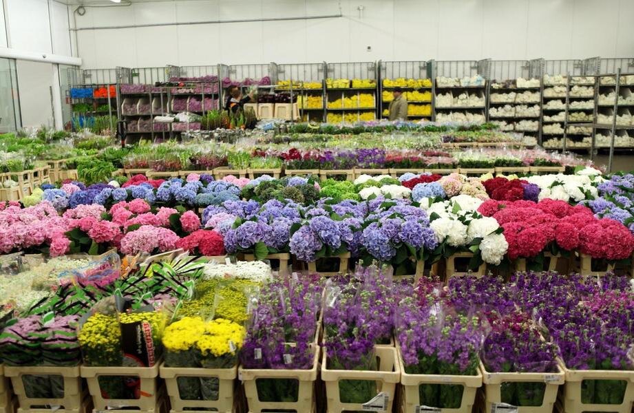 на фото стандартная цветочная база